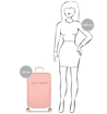 Obrázok z Cestovný kufor SUITSUIT TR-1202/3-M - Báječné päťdesiate roky Papaya Peach - 60 l