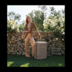 Obrázok z Plastový kufr SUITSUIT® Fab Seventies Taupe L - hnědá - 91 L